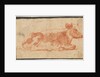 Cow, second half 1600s by Johann Heinrich Roos
