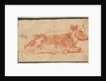 Cow, second half 1600s by Johann Heinrich Roos