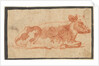 Cow, second half 1600s by Johann Heinrich Roos