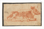 Cow, second half 1600s by Johann Heinrich Roos