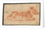 Cow, second half 1600s by Johann Heinrich Roos