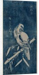 Cuckoo, 1840s or later by Ando Hiroshige
