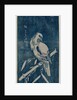 Cuckoo, 1840s or later by Ando Hiroshige
