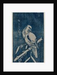 Cuckoo, 1840s or later by Ando Hiroshige