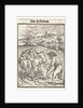 Dance of Death: The Ploughman by Hans Holbein