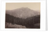 Davoncastle Butte, Sierra Nevada, c. 1866-1870 by Carleton E. Watkins