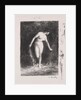 Diane, 1903 by Henri Fantin-Latour