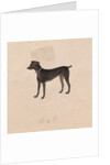 Dog, 1800s by Unknown