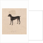 Dog, 1800s by Unknown