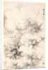 Dragon amid Clouds, 1788 by Min Zhen