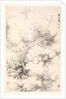 Dragon amid Clouds, 1788 by Min Zhen