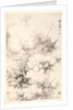 Dragon amid Clouds, 1788 by Min Zhen