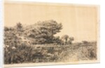 Edge of Marsh at Couronne, 1863 by Félix Ziem