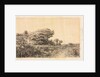Edge of Marsh at Couronne, 1863 by Félix Ziem