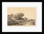 Edge of Marsh at Couronne, 1863 by Félix Ziem