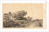 Edge of Marsh at Couronne, 1863 by Félix Ziem