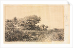 Edge of Marsh at Couronne, 1863 by Félix Ziem