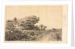 Edge of Marsh at Couronne, 1863 by Félix Ziem