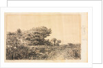 Edge of Marsh at Couronne, 1863 by Félix Ziem