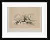 Egypt and Nubia, Volume I: The Great Sphinx, Pyramids of Gezeeh, 1846 by Louis Haghe