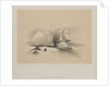 Egypt and Nubia, Volume I: The Great Sphinx, Pyramids of Gezeeh, 1846 by Louis Haghe