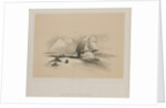 Egypt and Nubia, Volume I: The Great Sphinx, Pyramids of Gezeeh, 1846 by Louis Haghe