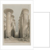 Egypt and Nubia, Volume I: Thebes, Great Hall at Karnac, 1848 by Louis Haghe