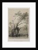 Egypt and Nubia, Volume III: The Holy Tree of Metereah, 1849 by Louis Haghe