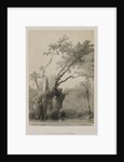 Egypt and Nubia, Volume III: The Holy Tree of Metereah, 1849 by Louis Haghe