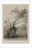 Egypt and Nubia, Volume III: The Holy Tree of Metereah, 1849 by Louis Haghe
