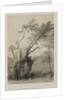 Egypt and Nubia, Volume III: The Holy Tree of Metereah, 1849 by Louis Haghe