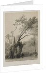 Egypt and Nubia, Volume III: The Holy Tree of Metereah, 1849 by Louis Haghe