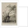 Egypt and Nubia, Volume III: The Holy Tree of Metereah, 1849 by Louis Haghe
