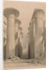 Egypt and Nubia: Volume I - No. 20, Great Hall at Karnak, Thebes, 1838 by Louis Haghe
