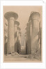 Egypt and Nubia: Volume I - No. 20, Great Hall at Karnak, Thebes, 1838 by Louis Haghe
