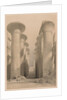 Egypt and Nubia: Volume I - No. 20, Great Hall at Karnak, Thebes, 1838 by Louis Haghe