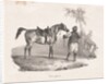 Egyptian Mare, 1822 by Théodore Géricault