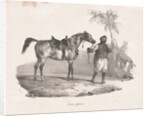 Egyptian Mare, 1822 by Théodore Géricault