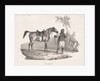 Egyptian Mare, 1822 by Théodore Géricault
