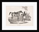 Egyptian Mare, 1822 by Théodore Géricault