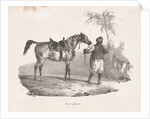 Egyptian Mare, 1822 by Théodore Géricault
