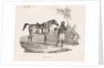 Egyptian Mare, 1822 by Théodore Géricault