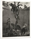 Essay on Stone with Brush and Scraper: The Bear Pit, 1851 by Adolph von Menzel