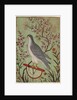 Falcon on a Perch, c. 1610 by Unknown