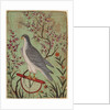Falcon on a Perch, c. 1610 by Unknown