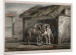 Farm Horse by Horace Vernet