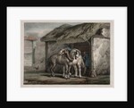 Farm Horse by Horace Vernet