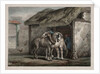 Farm Horse by Horace Vernet