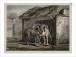 Farm Horse by Horace Vernet