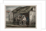 Farm Horse by Horace Vernet